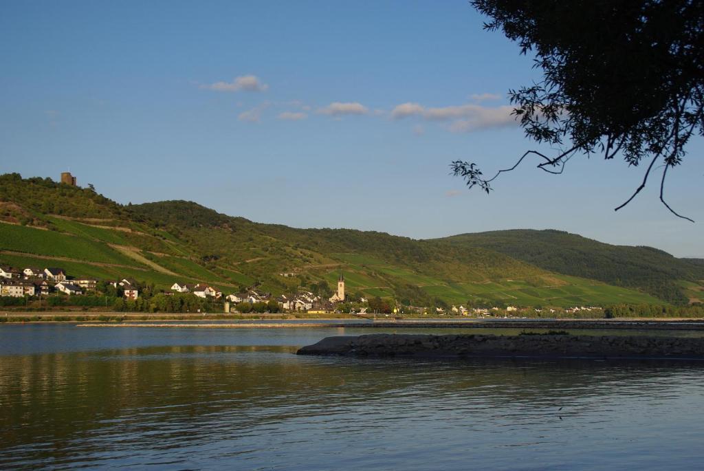 Ferienwohnung Bacharach Εξωτερικό φωτογραφία